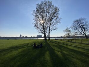 Ein Baum steht auf einer Wiese und wirft lange Schatten. Davor sitzen 3 Menschen und im Hintergrund ist das Ufer eines Flusses zu sehen. Auf der anderen Seite des Flusses ist die Silhouette einer Großstadt.